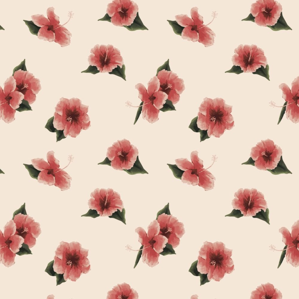 California Pink Hibiscus wallpaper